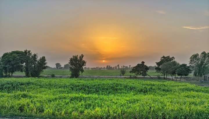 ChMudasirGujjar's tweet photo. کچھ الو اپنے گھونسلوں کی صفائی کروانے کے لئے سانپ پالتے ہیں۔
#EndOf2022 #LastClick https://t.co/K6XZCm2QCf