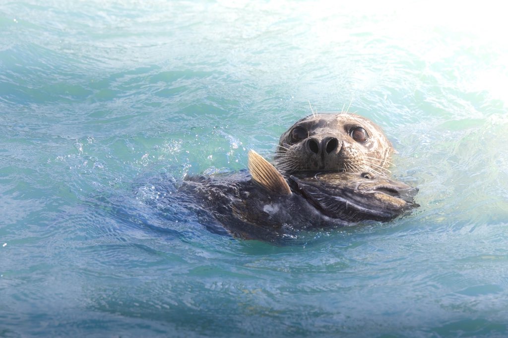 A few favorites from 2022.