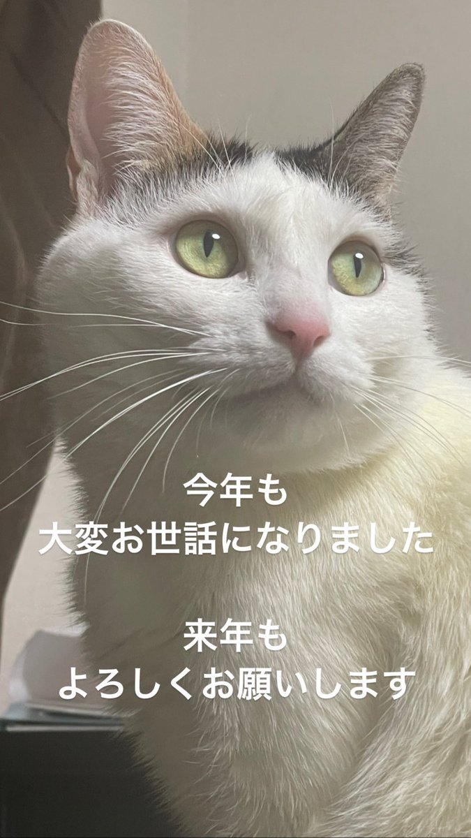 ごんぞぉ Gnz00 Twitter