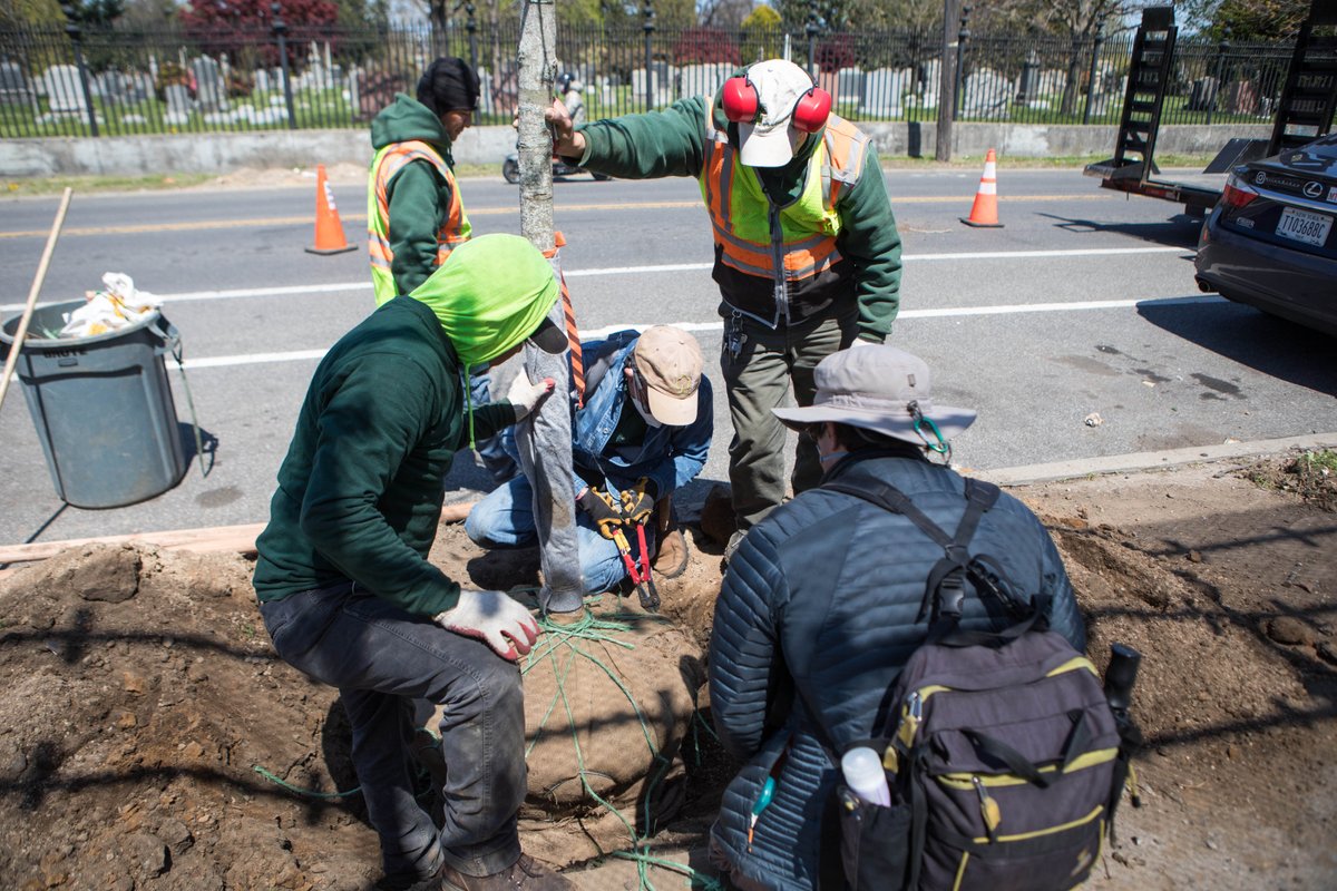 TreesNewYork's tweet photo. 2022 was a banner year for #TreesNY - #THANKYOU to our #CitizenPruners, #volunteers & #donors who made it such a big success! If you still want to make a year-end #charitablecontribution, please click https://t.co/NBdVbH3YEU and w/your help, we'll make #2023 another great year!! https://t.co/yB0ueDtGpO