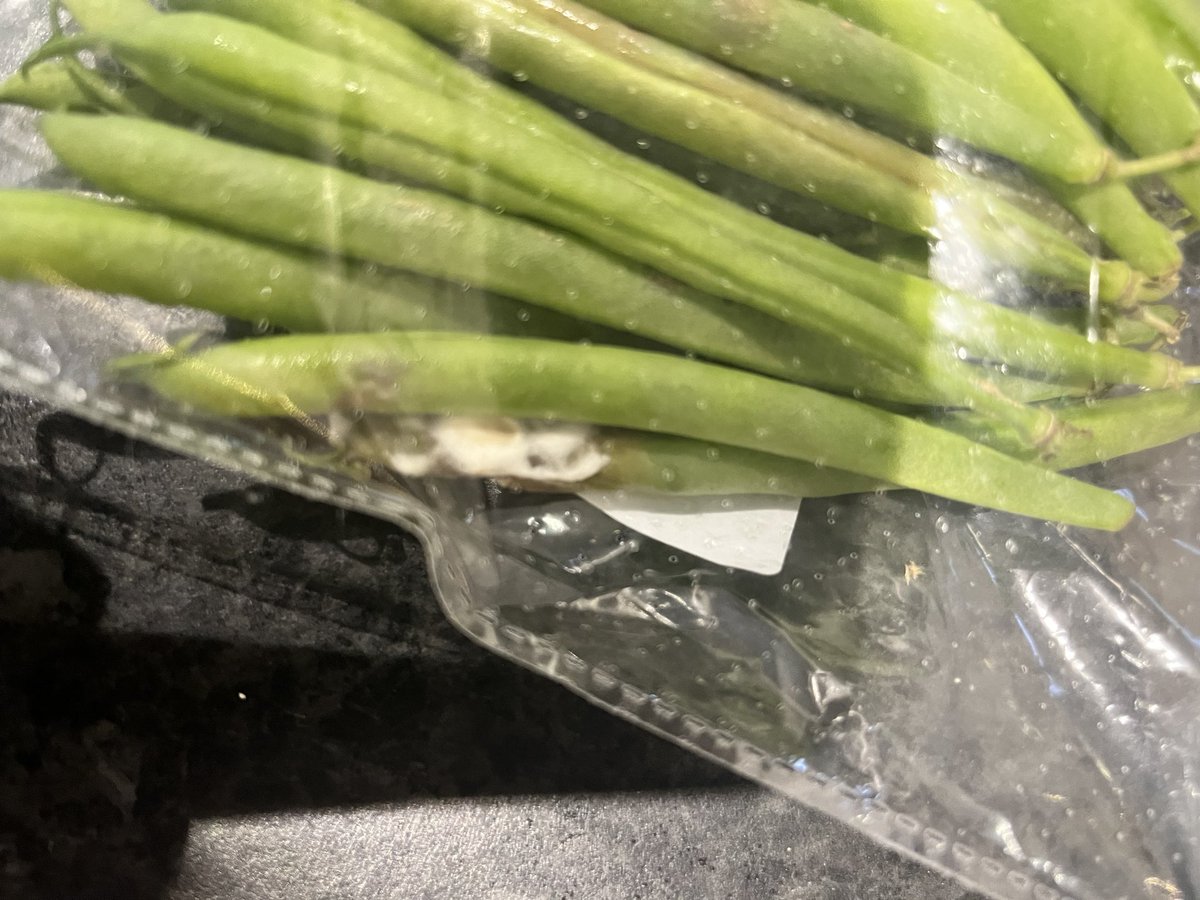 sweetanimo's tweet photo. @HelloFreshUK again not so fresh……. Sort out your green bean suppliers https://t.co/oBSiCdEXzn