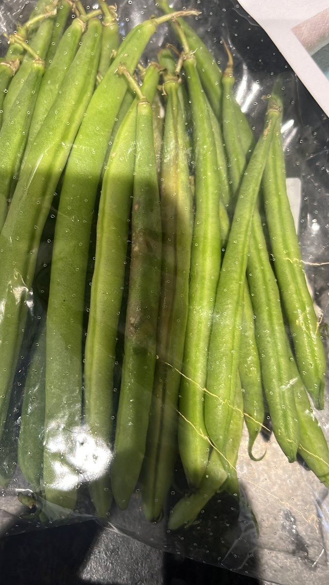 sweetanimo's tweet photo. @HelloFreshUK again not so fresh……. Sort out your green bean suppliers https://t.co/oBSiCdEXzn