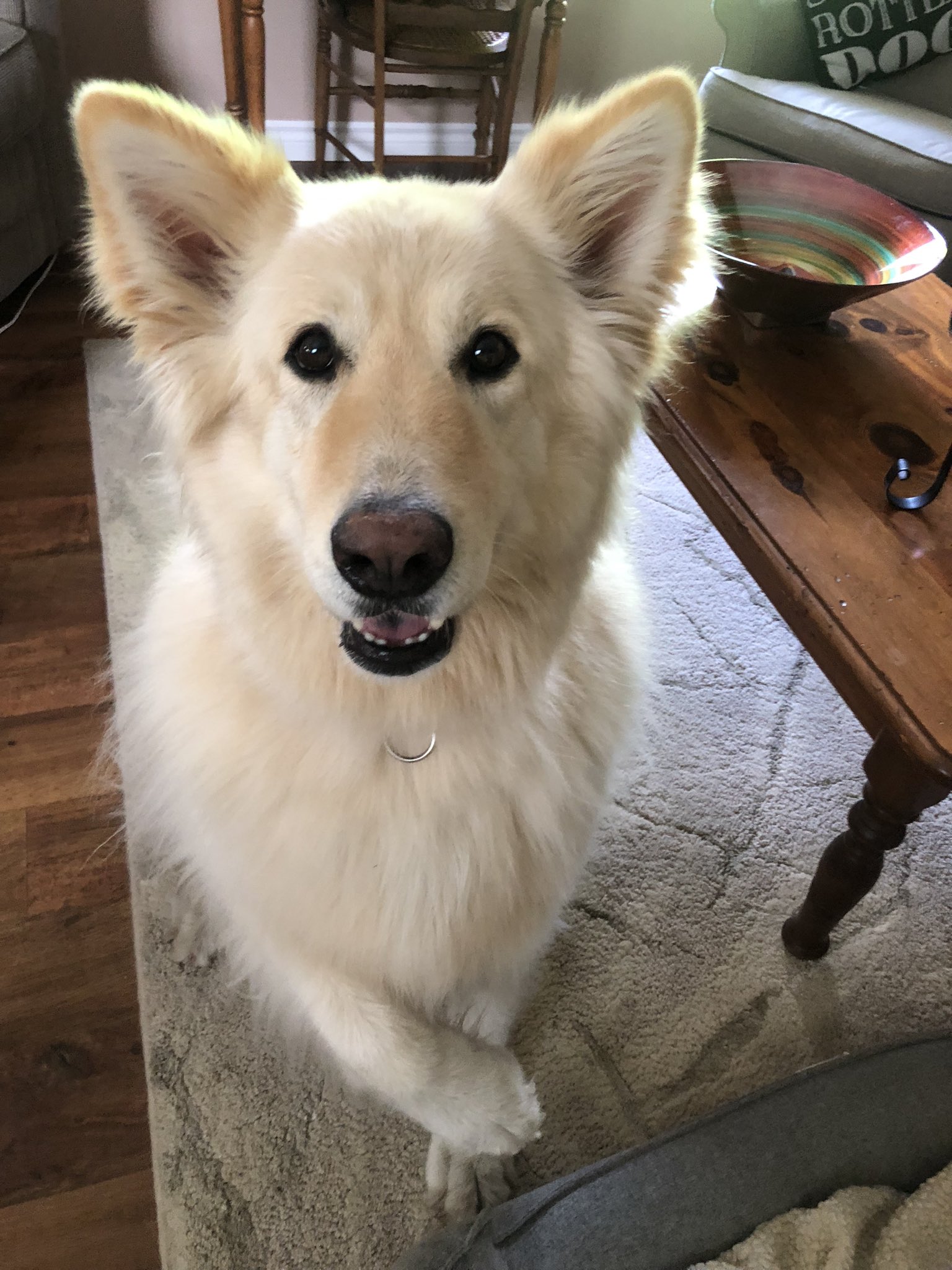  Thank you for your Happy Birthday wishes 