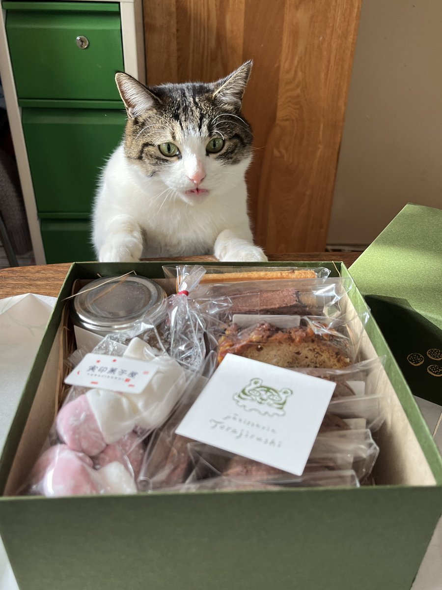 kamabikke's tweet photo. #ぼっちゃんつまみ食いダメよ
#寅印菓子屋 #さかたきよこ 🐯 https://t.co/3GmhP4Rg1f