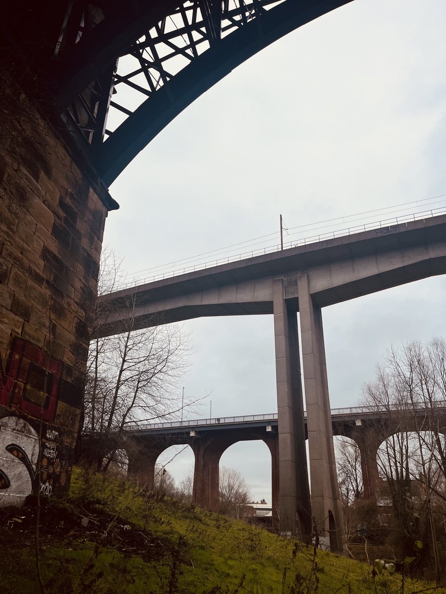 Slippy Foxwell Underfoot - Agent 360 🏅 (@6thfret) on Twitter photo 