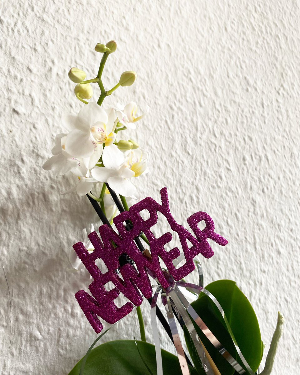 ✨Frohes neues Jahr✨

Wir von Eifel hilft wünschen Euch einen schönen Silvestertag und einen guten Rutsch in 2023🍀

📸 Katharina Isabel Franke 

#eifelhilft #eifel #silvester #2023