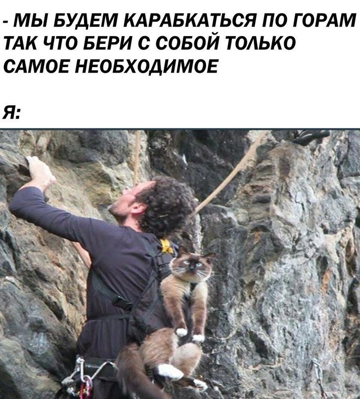 ужасные мемы tweet media