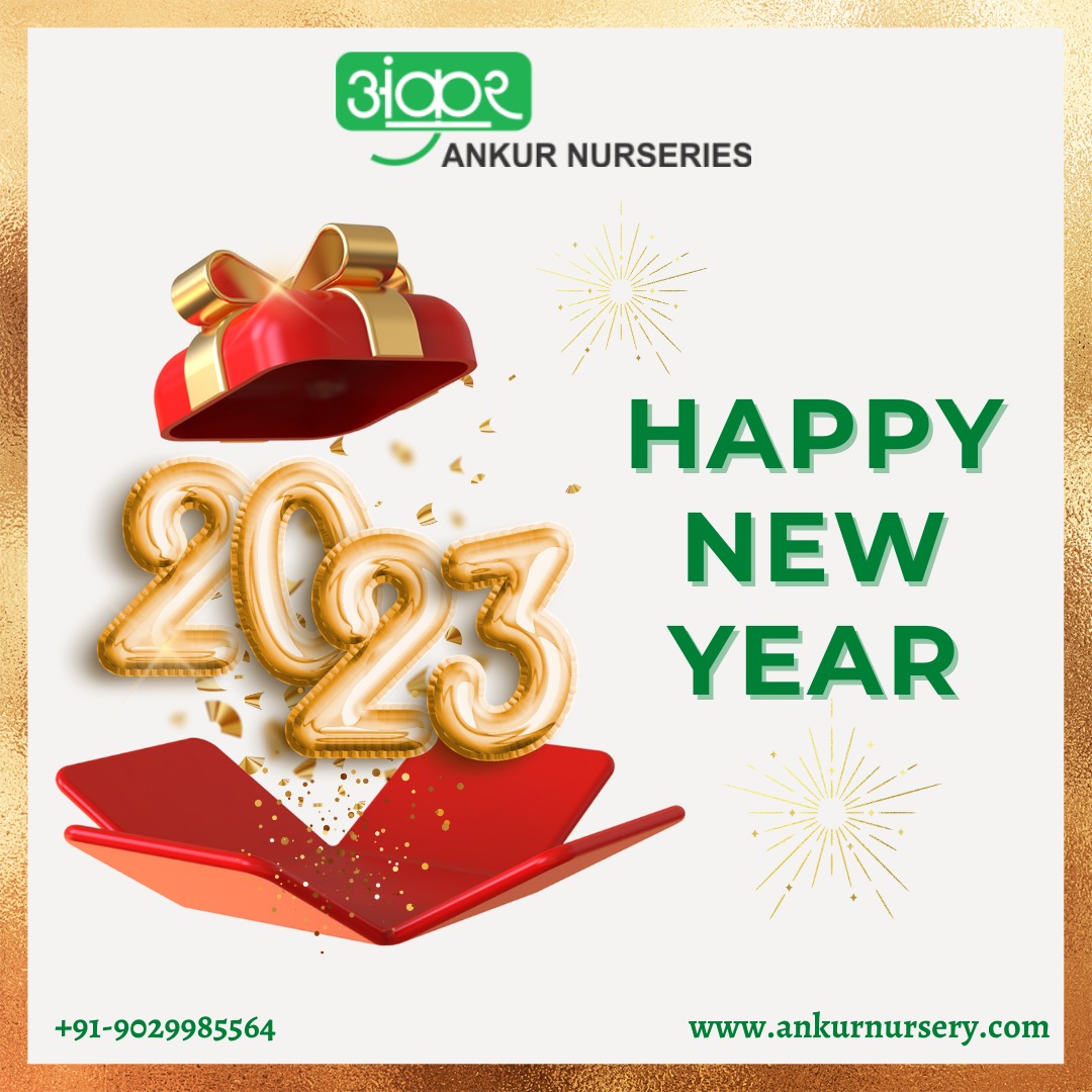 AnkurNurseries's tweet photo. Happy New Year! May the coming year be full of grand adventures and opportunities.
#newyear2023 #happynewyear #newyearresolution #newyearsday #newyearseve #happynewyearparty #family #happiness #celebration https://t.co/b7Jrfy1Uwm