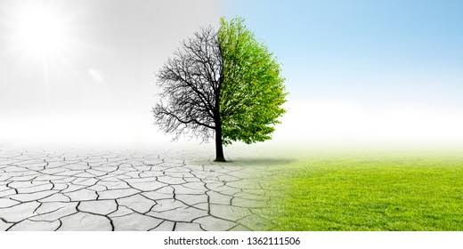manasbehera07's tweet photo. #Save_our_planet.
#Save_environment.
#Save_climate.
#Save_animals.
#Save_forest.

#Happy_new_year_2023 to all my friends. https://t.co/oCjpGBEaSY