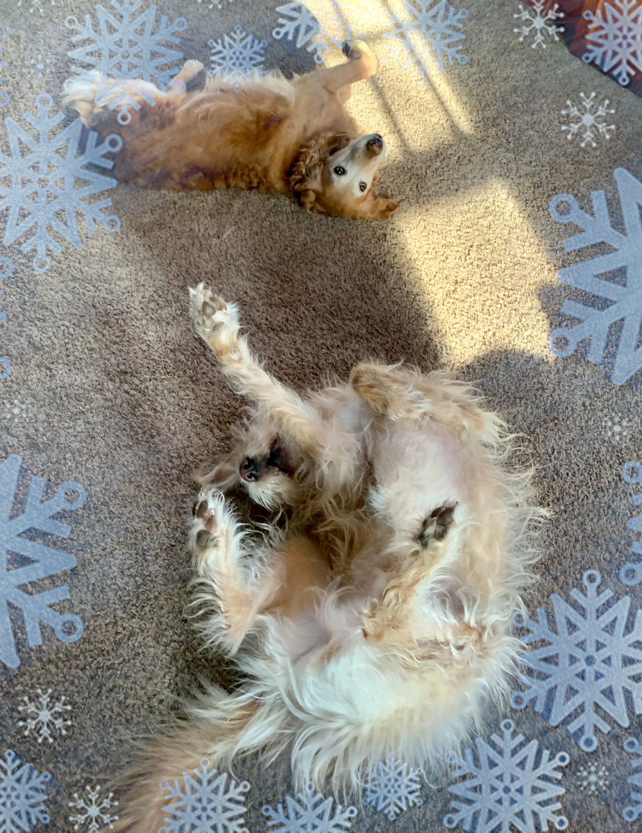 Two Particular Acres tweet media