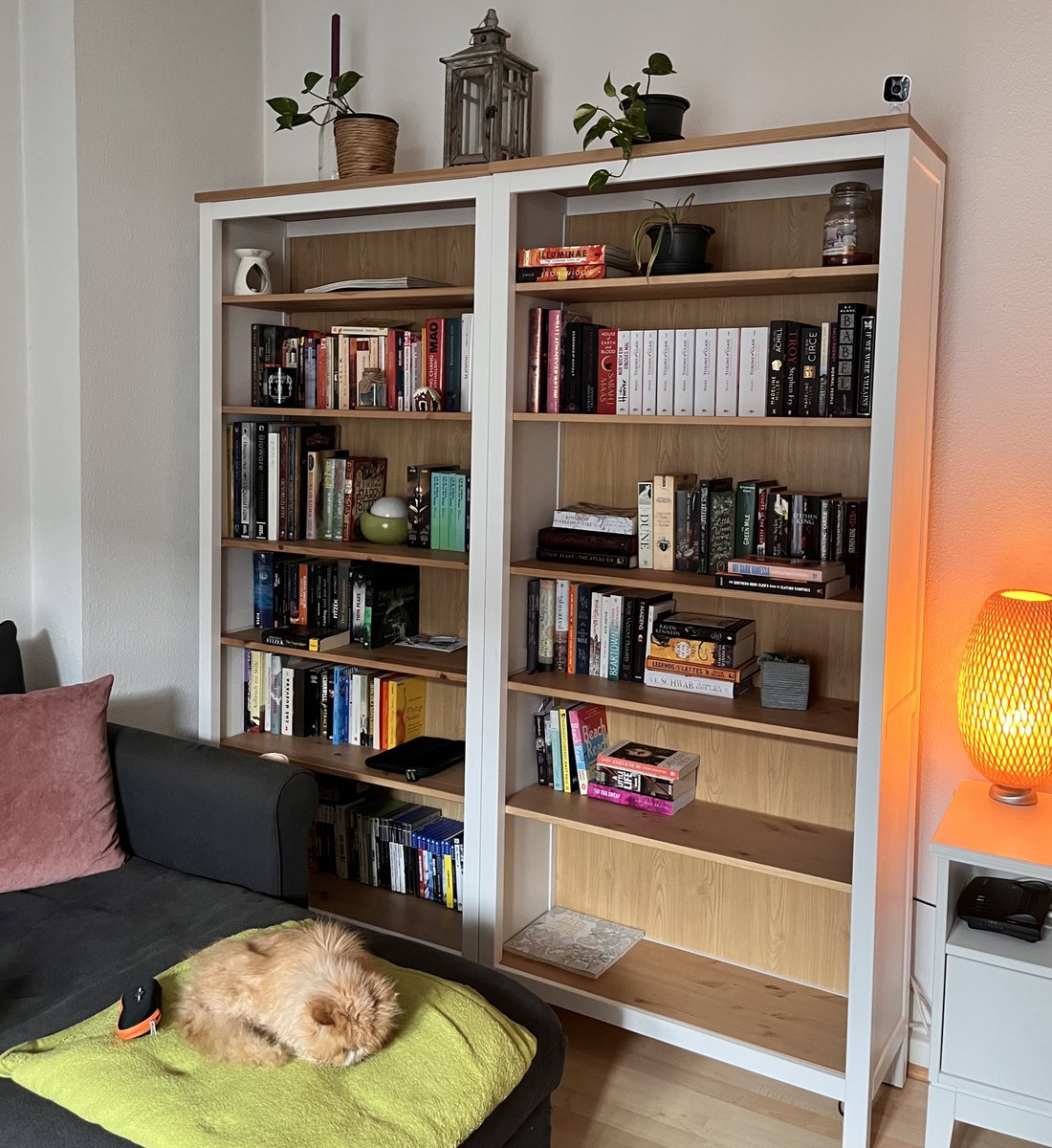 Es ist passiert, jetzt habe ich ZU WENIG Bücher 🥹🥹🥹🥹🥹