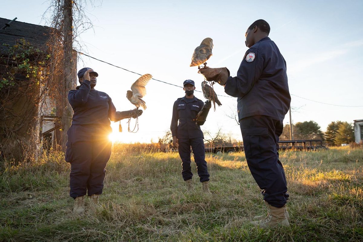 EarthCC's tweet image. Support our AmeriCorps members before the ball drops!

Make a way for a young person to complete a year of service in 2023 and help EarthCC raise our AmeriCorps match!

Want to be a part of it?

app.theauxilia.com/Event/creating…