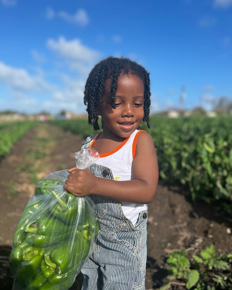 thebajanfarmer's tweet photo. A year spent inspiring young kids to become farmers 🙏🏾👨🏾‍🌾. 

This not only creates career opportunities but the next generation will be able to grow more food for the island 🇧🇧🤘🏾#TheBajanFarmer https://t.co/JAZeRqnAVm