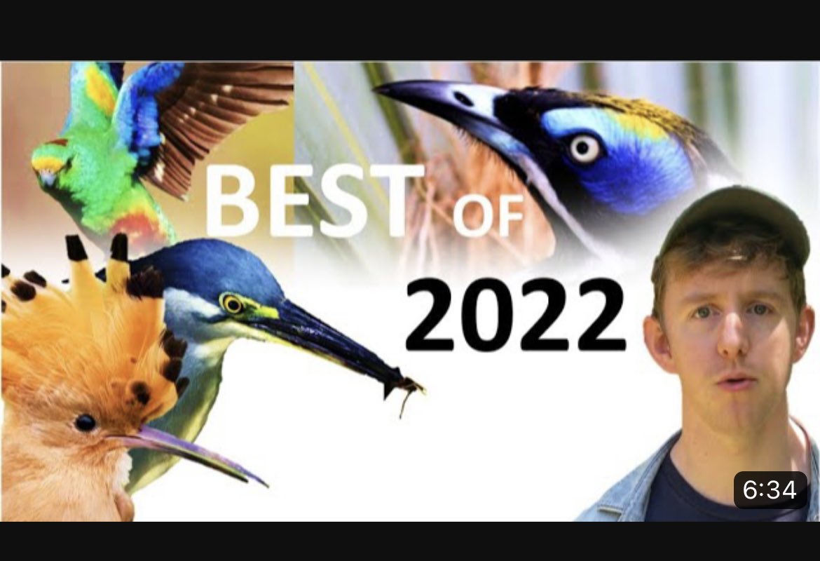 Top Moments 2022: What comes next?? Link:
youtu.be/3XglJ_ketHQ
#birdphotography #birding #BirdsSeenIn2022 #parrot #parrots #hoopoe #canonphotography #korea