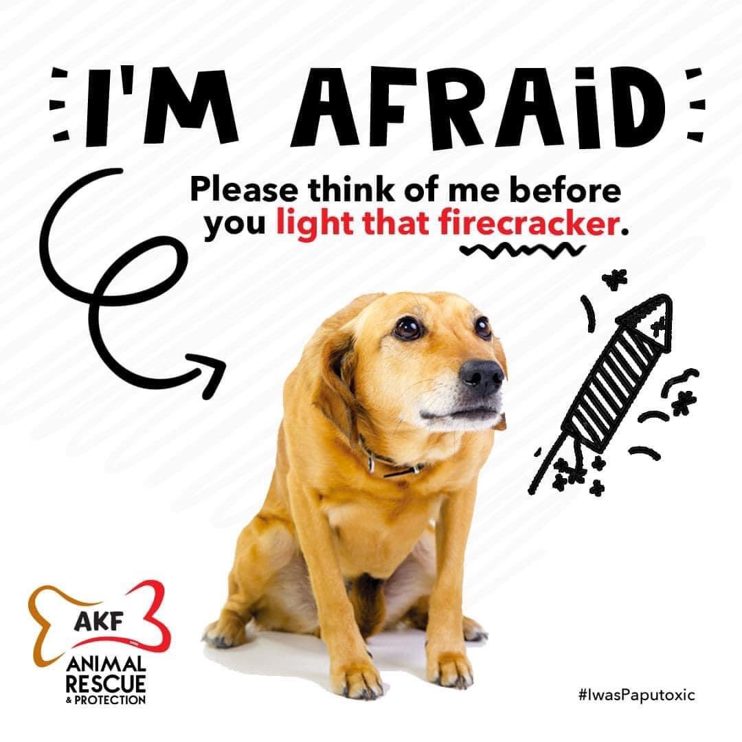 #IwasPaputoxic ngayong Holiday!

Below are some tips in helping our furry pets feel safe amid all the fireworks.

Firecracker safety tips: bit.ly/2TfSgK6
Simple ways to calm your anxious pets: bit.ly/2EQQGut
+ DIY anti-anxiety wrap called Ace bandage!