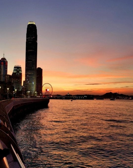 captin2000's tweet image. The sky is gradually turning orange, I think the sunset is hopeful
Slowing down is all about gentleness and expectation.