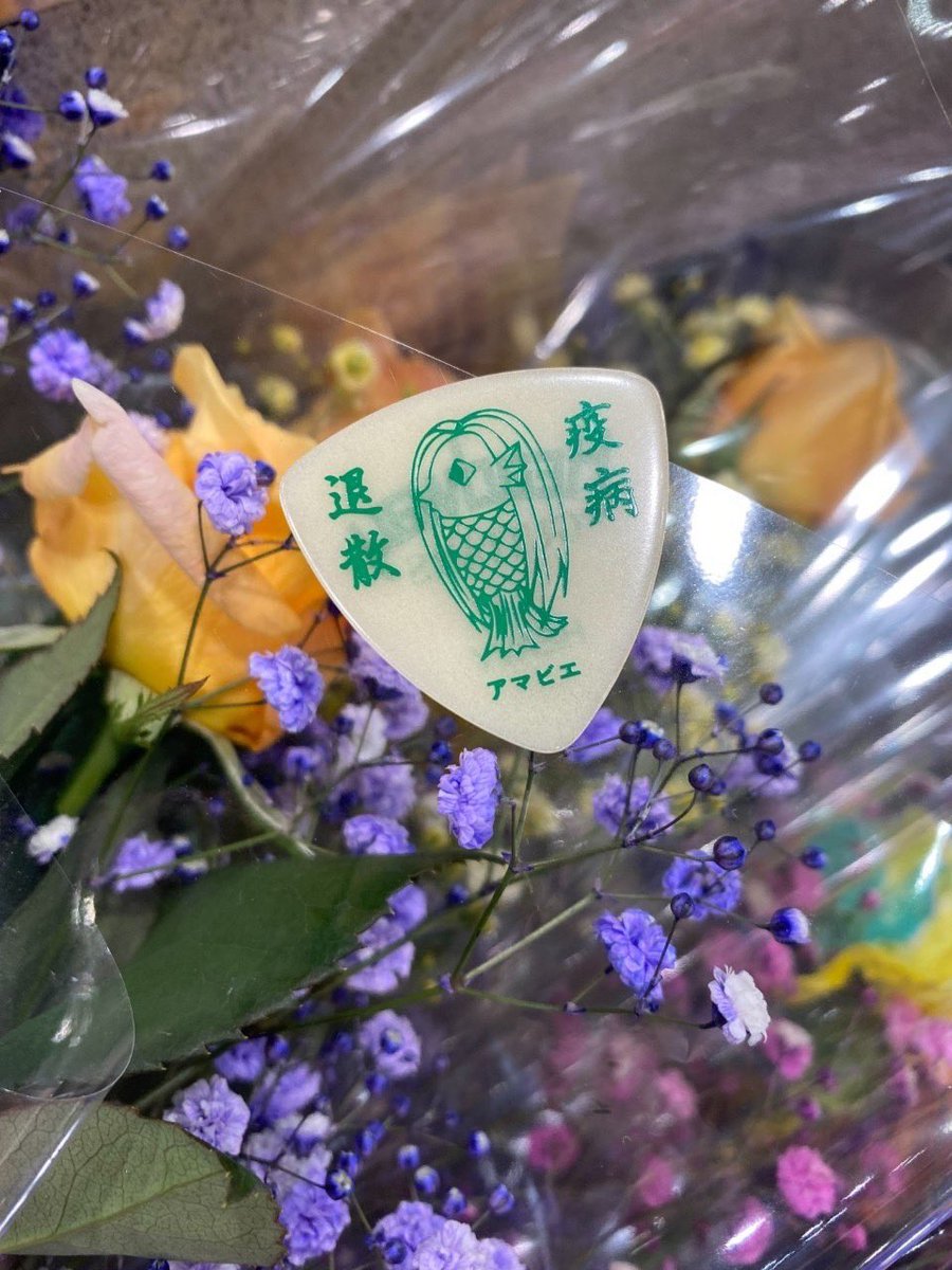 oranges_mi's tweet photo. 🎵今年の振り返り①🎵

今年は、初めてセッションイベントに参加したり、初めて誕生祭に参加したり、ﾅﾅｼｮｯｸﾘﾘｰでステージに立たせてもらったり、心歌志隊さんから敢闘賞を頂いたり、と嬉しいことがたっっくさんありました✨

たくさんの方々にお世話になりました!
ありがとうございました! https://t.co/w3ehewlkw0
