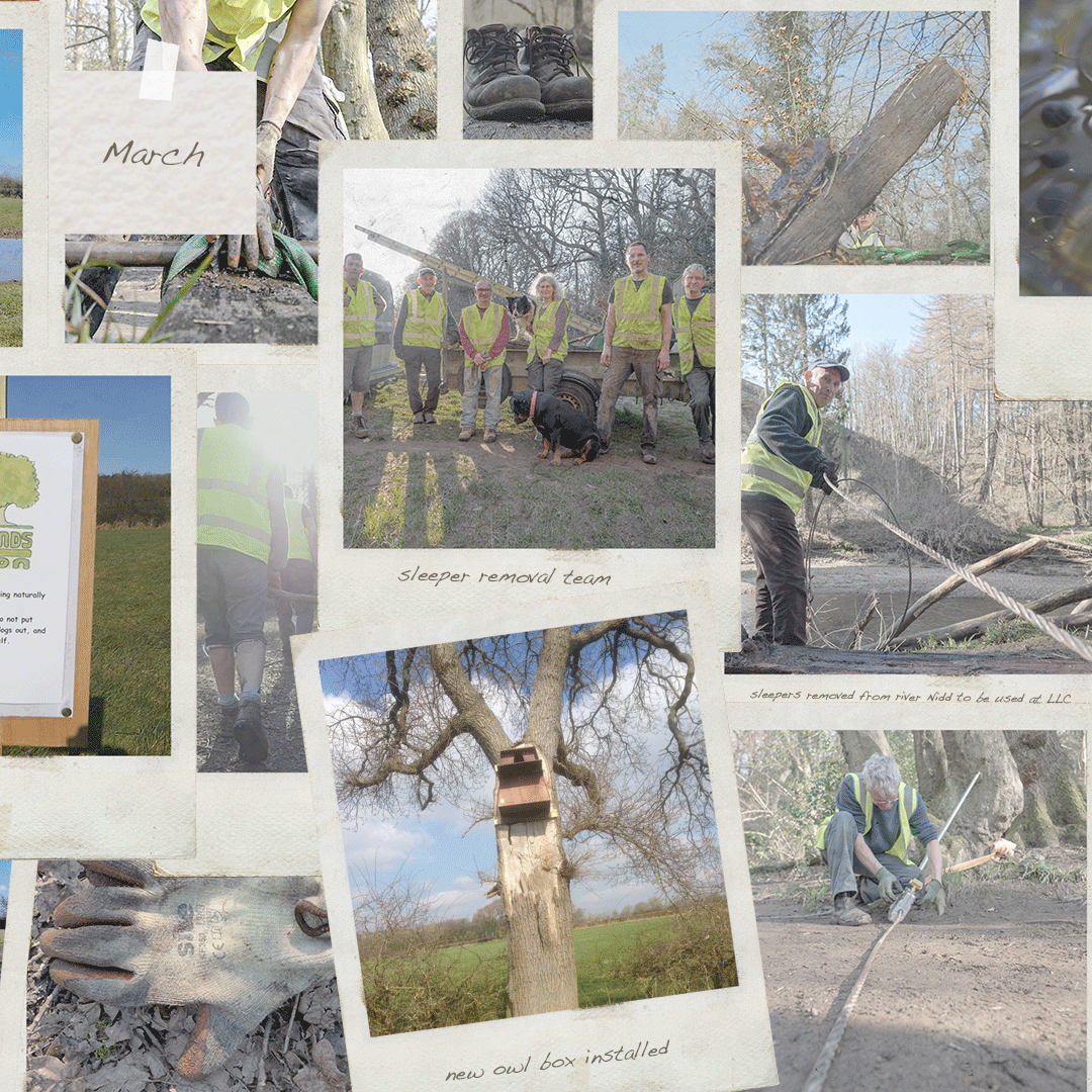 edfclee's tweet photo. This is Long Lands Common - Year 2 - a community that stopped a road, bought the land (2,853 members) and are now making a nature reserve for all to enjoy.
Proud to be involved.
@longlandscommon #harrogate #rewilding #natureserve #volunteer #longlandscommon https://t.co/0jydANImsM