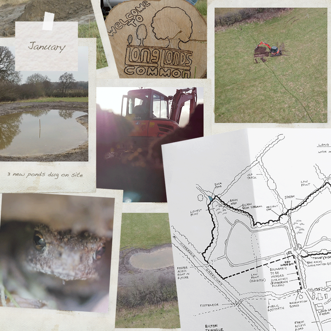 edfclee's tweet photo. This is Long Lands Common - Year 2 - a community that stopped a road, bought the land (2,853 members) and are now making a nature reserve for all to enjoy.
Proud to be involved.
@longlandscommon #harrogate #rewilding #natureserve #volunteer #longlandscommon https://t.co/0jydANImsM