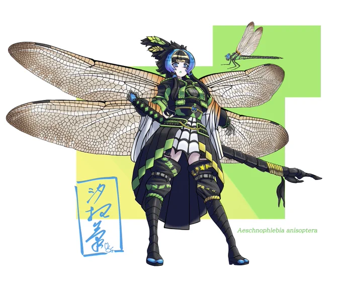#今年も残りわずかなのでお気に入りの4枚を貼る 
