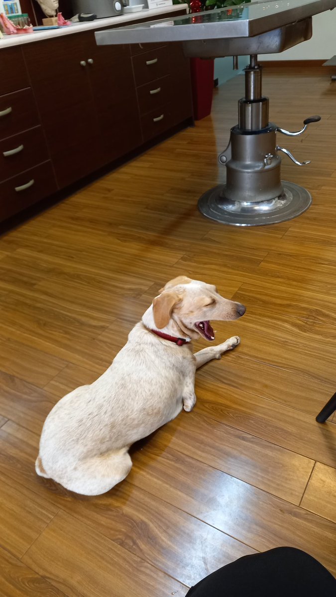 Theano_B. 🇬🇷💙🐟 tweet media