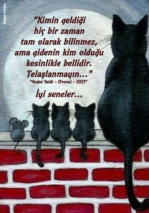 Ayhan Tural (@ayhantural10) on Twitter photo 