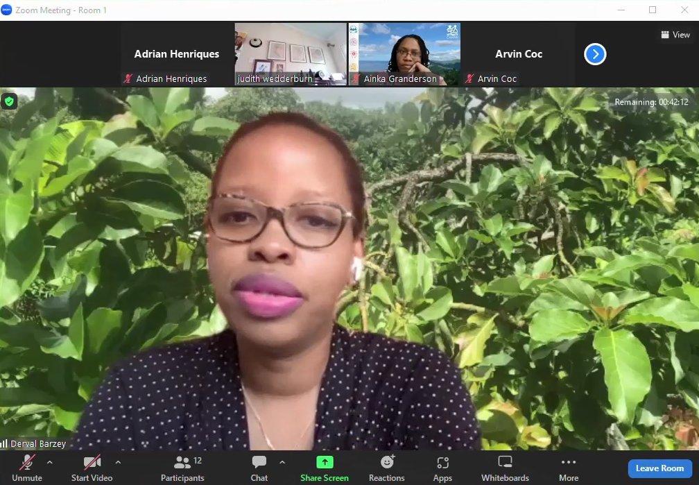 Caribbean Youth Environment Network in Jamaica tweet media