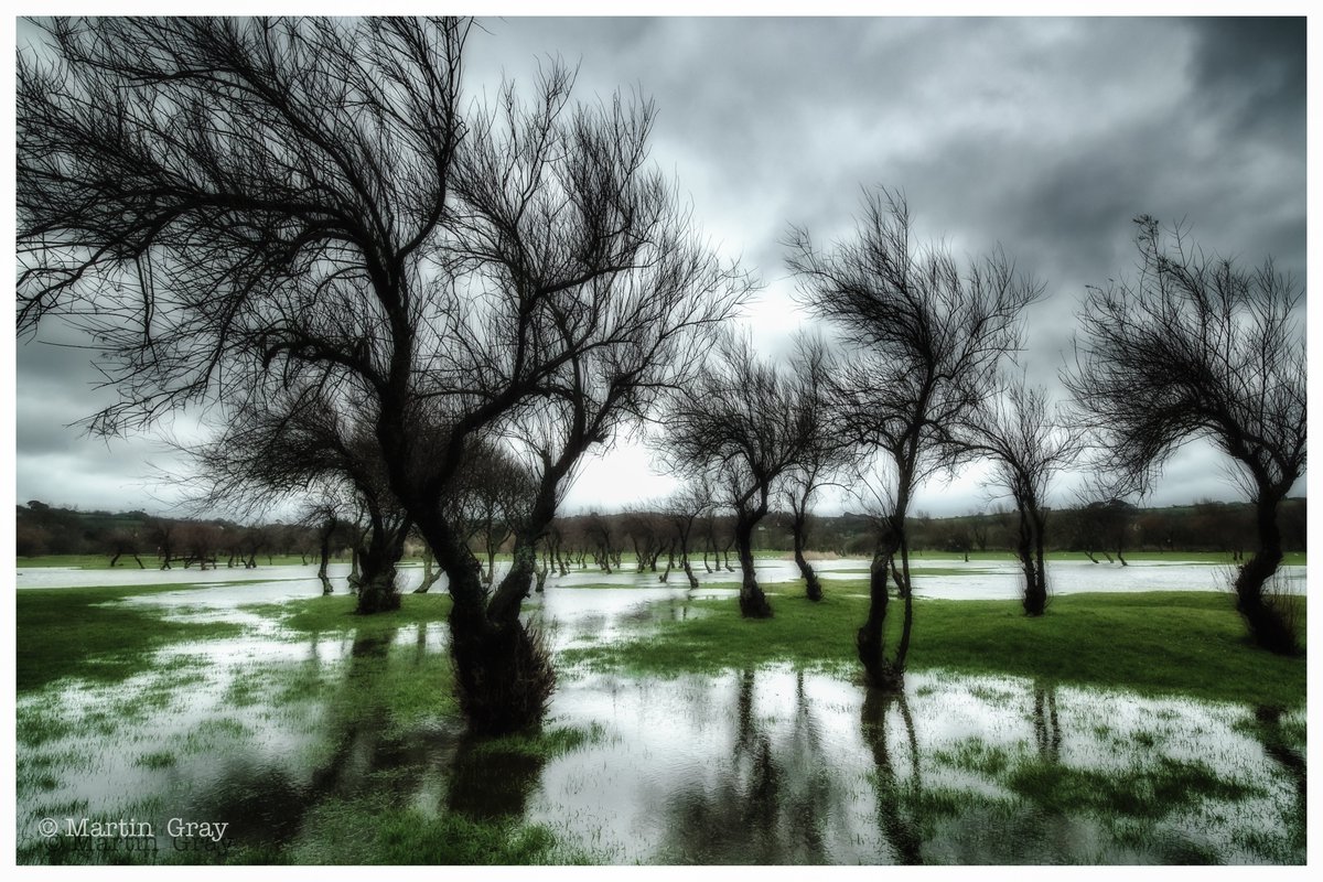 MartinGrayphoto's tweet photo. 'Rainy Days'...
Reworking of an old shot... Kinda sums up todays weather... ☔️
#rainydays #WaterisWater #rainclouds #trees https://t.co/kNTFTXR0ez