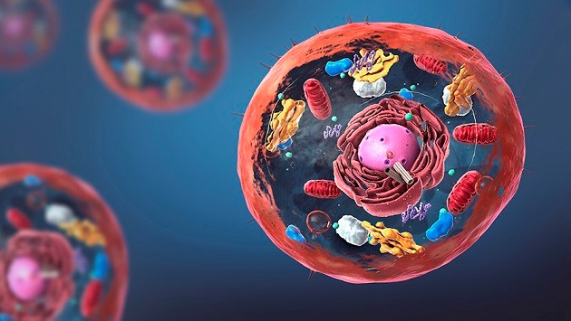 CSIC's tweet photo. Noticias #SemanaCSIC: 
-Una diana para el tratamiento del cáncer de mama.
-Un mecanismo celular que podría servir como biosensor para detectar cánceres y alzhéimer.
-30 tecnologías para la compra pública de innovación.
-248 plazas estables.
#NoticiasCSIC➡️https://t.co/Ikh2xC1u8W https://t.co/J9CnOTIcxF