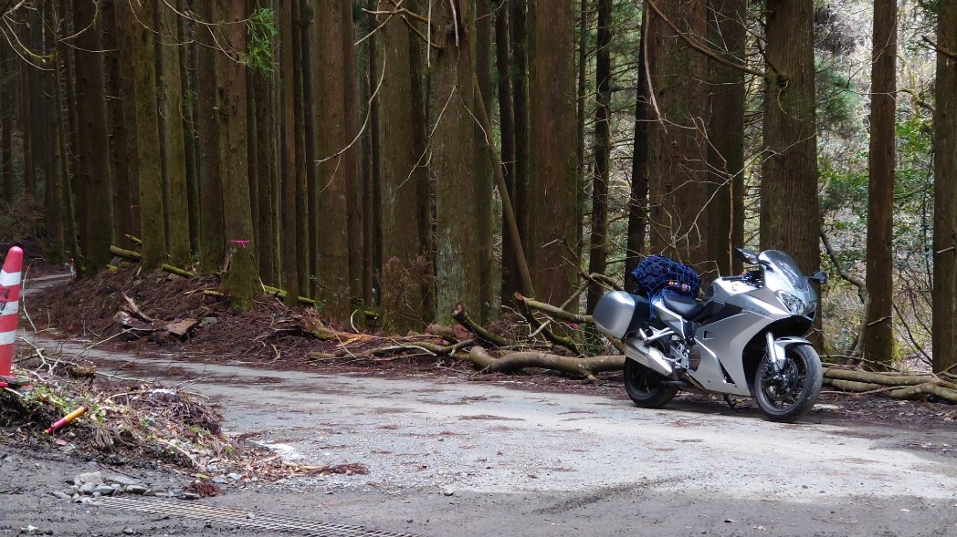 ILNH🍳（あいえる） tweet media