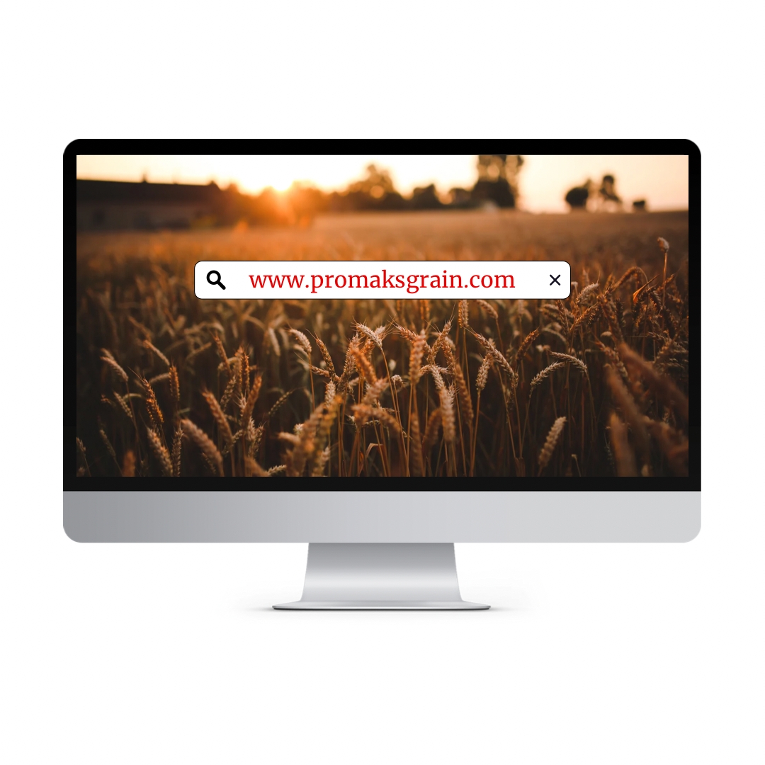 Promaksgrain's tweet photo. Yenilenen Web Sitemiz Yayında! https://t.co/aqoNsr2N9Q 🌾🌽
#promaksgrain #buğday #tahıl #grain #wheat #agriculture #tarım #yağlıtohum #oilseed #soybean #protein #yemhammaddeleri #feedstuff #ziraat #export #import #hayvanyemi #un #flour #corn #mısır #barley #arpa #gıda #blacksea https://t.co/MlnmxkxfNH