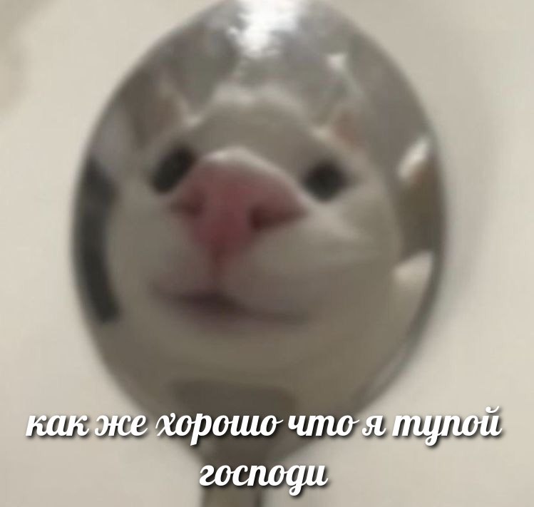 RG_Cringeberry's tweet photo. Последний сохранённый мем - ваш прогноз на 2023 год. 

Боже, какая жиза. https://t.co/0EWklBCpgO