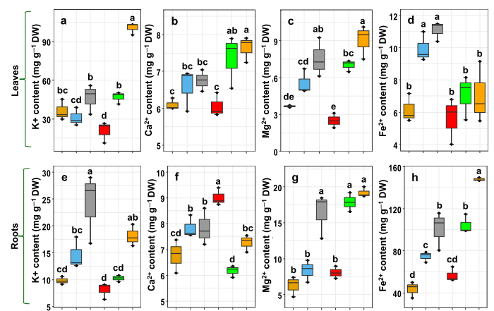 Ashim_PlantSci's tweet image. Data is meaningless without appropriate visualization.
I fulfilled one of my ambitions by learning R Programming for Plant Science data.
#data #rprogramminglanguage #plantscience #visualization