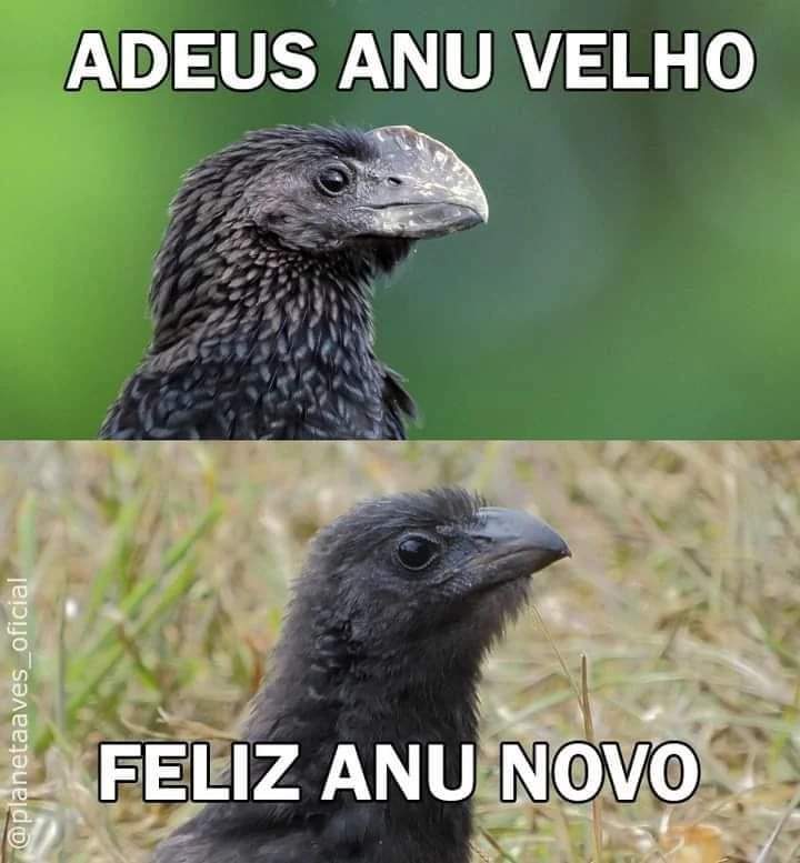 Tive que postar kkkkkkkkkk