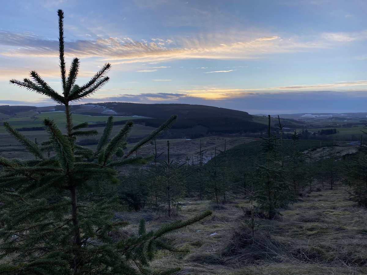 siobhaningram's tweet photo. Final sunrise of 2022!
Happy #Hogmanay from #Aberdeenshire #Scotland https://t.co/o3XgMDx5Ld