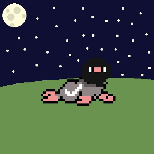 pixelsealsnft's tweet photo. Good night seals! https://t.co/gyiUeIrZxp