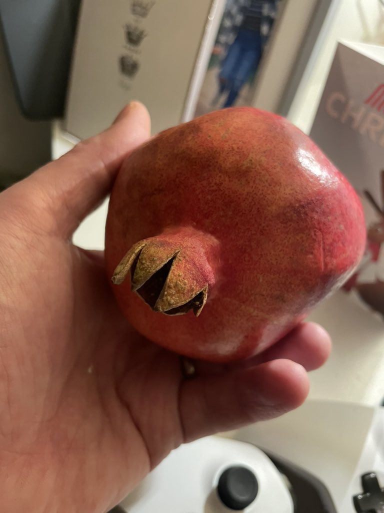 admacontwit's tweet photo. Demogranete or Pomegorgon #StrangerThings #strangerfruit https://t.co/KynGY5bope