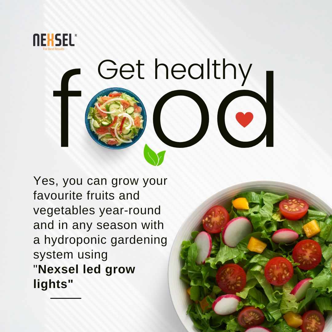 NexselT's tweet image. Yes, you can grow your favourite fruits and vegetables year-round 🍓🥬️and in any season with a hydroponic gardening system using &quot;Nexsel led grow lights&quot;💡Contact us now and know how you can also take the advantage of this ❗📞+91 8604486047✉️:  info@nexsel.tech #nexseltech