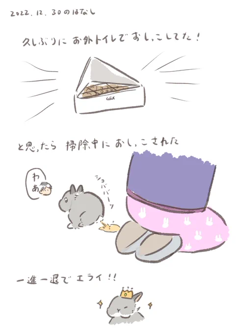 良い卯年を🎍🐰🎍

#うさぎのいる生活 