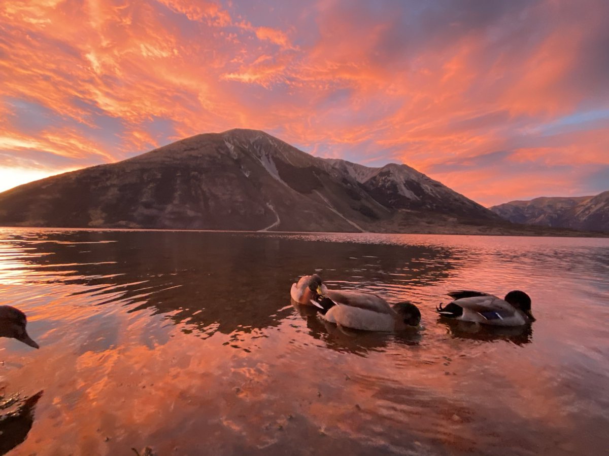 NZ_FamilyDoctor's tweet photo. שחר מקפיא בחניון לילה על שפת Lake Pearson שבאי הדרומי זימן לי את הזריחה היפה שצפיתי בה מימי.

מה הזריחה הכי יפה שזכיתן לראות? https://t.co/CsjPXaq1Nt
