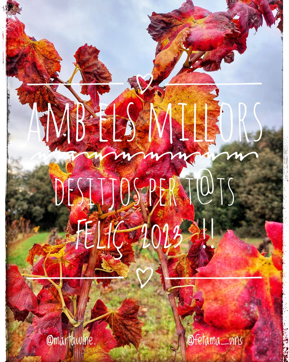 Amb els millors desitjos per t@ts i infinitament agraïda pel l'any que es tanca i sobretot per la vostra càlida confiança !! 🥰💫🧡🫶

Brindem plegats per començar un nou any, carregat d'il·lusions, projectes engrescadors, salut i vins !! 🍷🥂💫 FELIÇ 2023 !!!💫🥂🍷