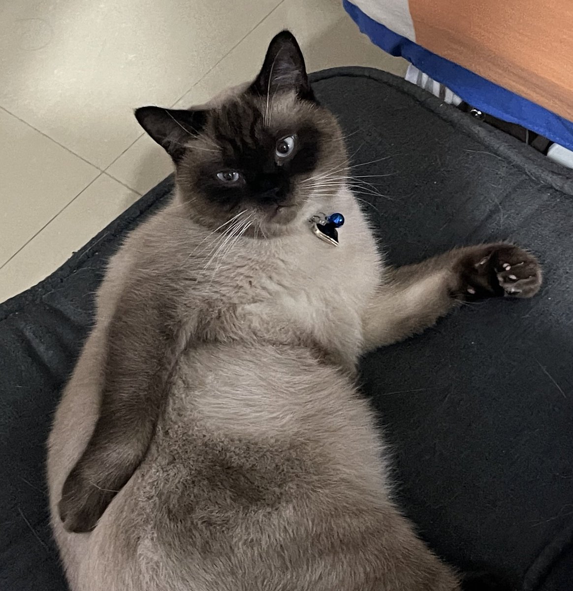jf_foon's tweet photo. นอนมองคนโสดข้ามปี https://t.co/Uch4CpcMKc