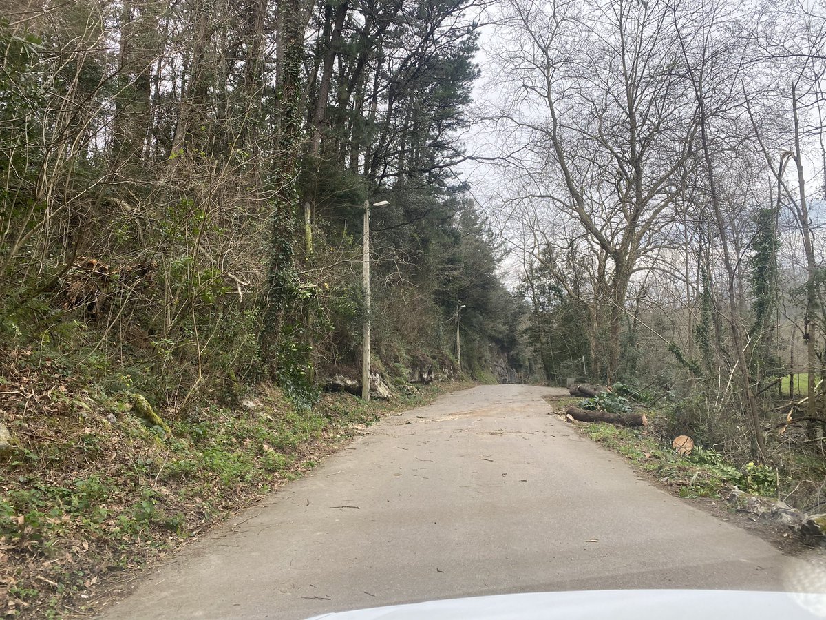 PcRamales's tweet photo. Tras llamada de vecinos y de @112Cantabria procedemos a la retirada de un árbol que ha roto el tendido telefónico
Cortamos, retiramos y despejamos la carretera
@PaulaFdezPRC @AMVPC_Cantabria https://t.co/D06ywbfvm8