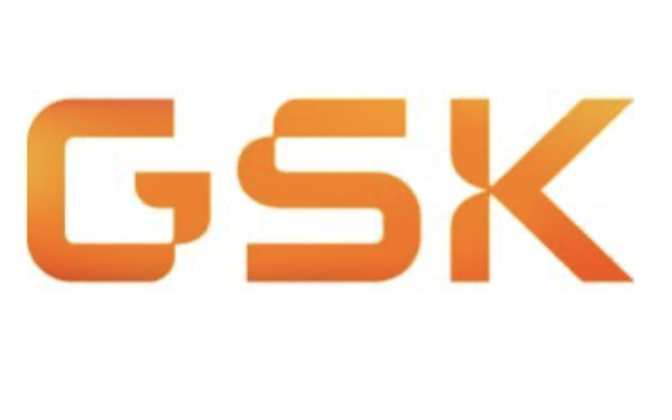 ProjectXES20070's tweet image. GSK has grown 1.6%, outperforming the FTSE 100, which fell 1.12%. GSK is considered a non-cyclical stock so has done well despite UK recession and FTSE fall. As there is constant demand for their goods, such as essential medicines, their performance is expected to remain strong.