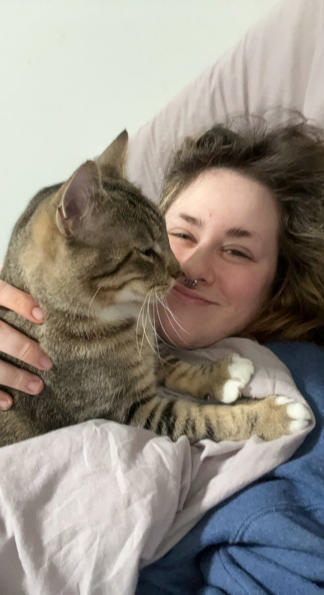 Patrick M. on Twitter: "RT @pumpknprincess: This is my best friends cat