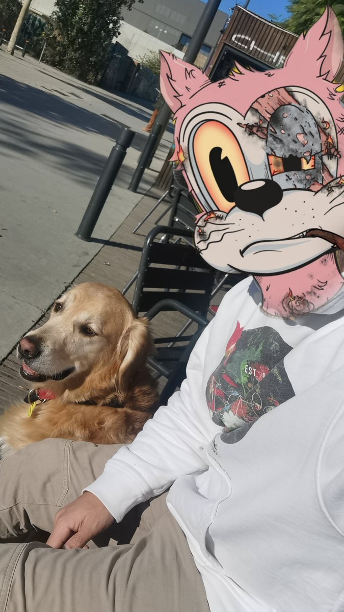 AngelRuiz22's tweet photo. @chrisberlin @DegenToonz #Toonzfollowtoonz I'm always in...
@DegenToonz I take my #DetonatedToon everywhere I go βπ»π§¨π»
#toonz4life #toonztothemoon #TOONZ https://t.co/i5Hx7DOG9m