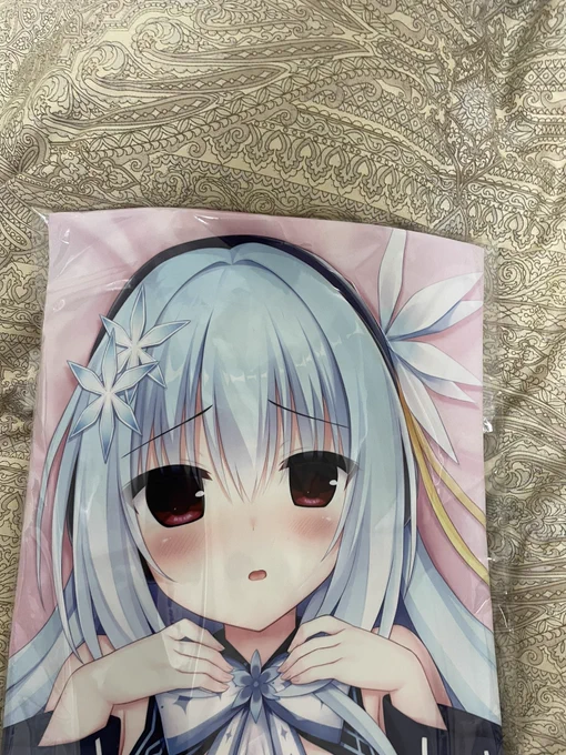 2日目の戦利品 抱き枕は友人に頼まれて買ってきました 