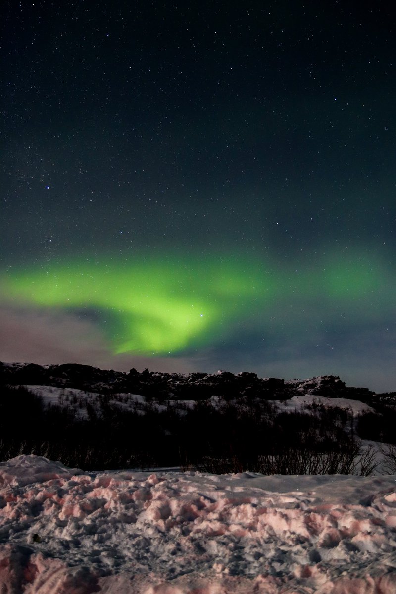 mattyowens_'s tweet image. -18 last night, literally froze searching for the northern lights but we got them😮‍💨