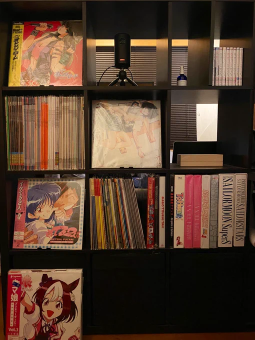レーザーディスクを200枚近く買ったり、LDプレーヤーを買ったり、セル画を買ったり、ハードオフを167店舗巡ったり....#今年を写真4枚で振り返る 