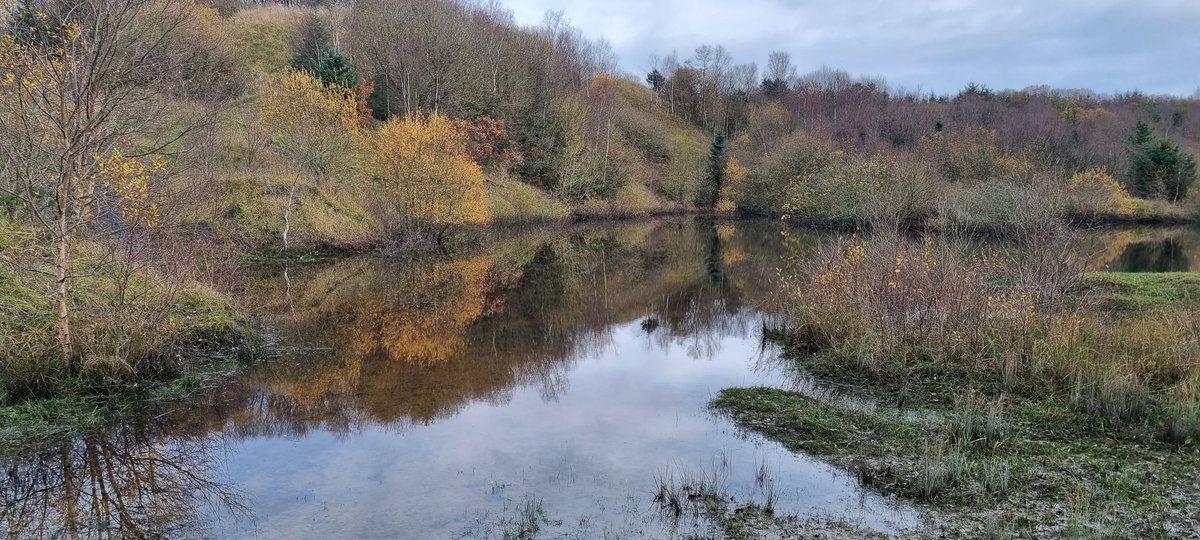 sevikingo's tweet photo. Please enter ASAP for the orienteering event at Castlecomer on January 15th. Register via https://t.co/iNL95RHRHu
@orienteeringIRE 
@C_DiscoveryPark 
@CastlecomerHigh https://t.co/UPH3qJnJzE